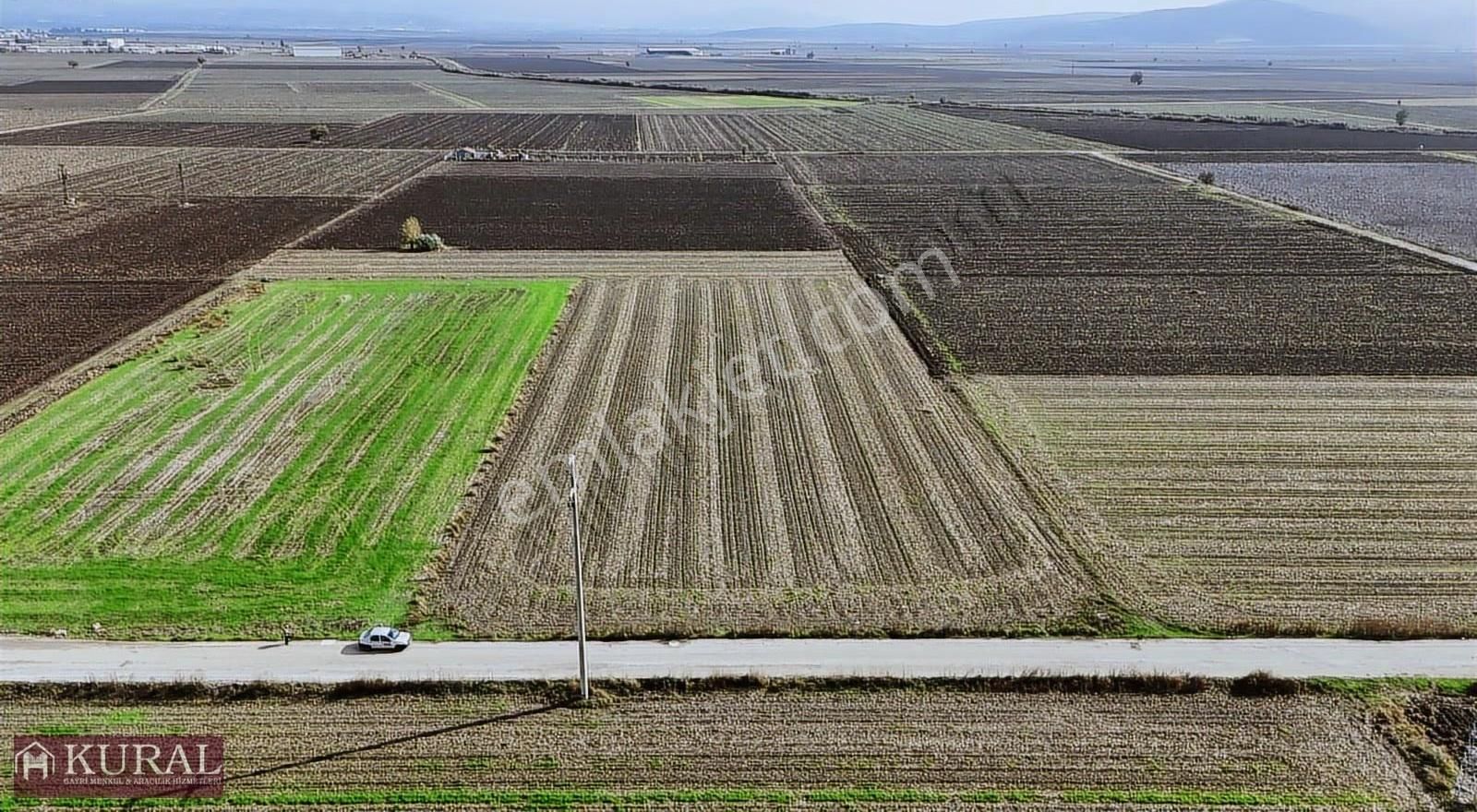 İzmir Menderes Tekelide1/2 Hisse Tapulu 4644m2 Asvalt Yol Tarla - Görsel 10
