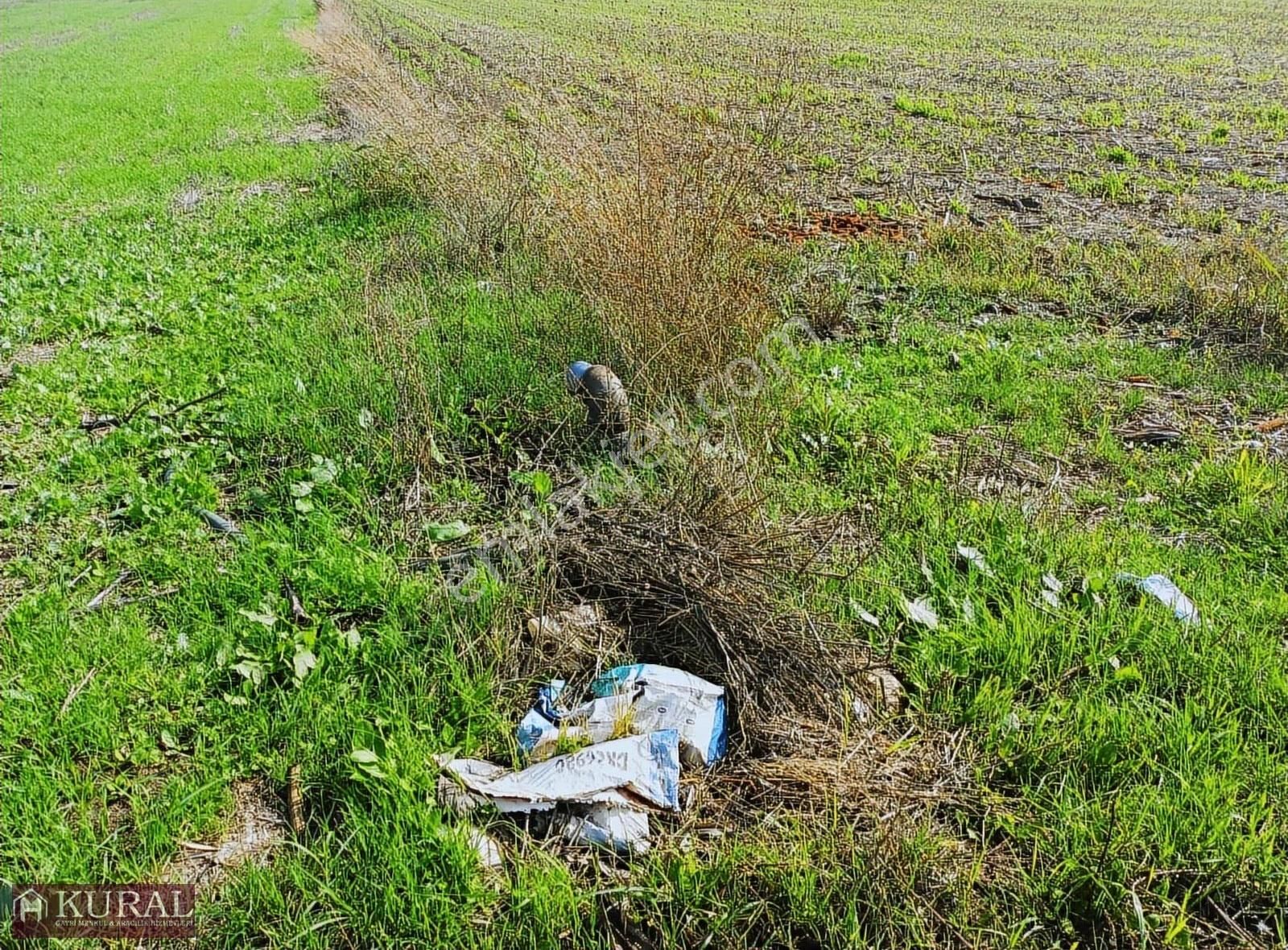 İzmir Menderes Tekelide1/2 Hisse Tapulu 4644m2 Asvalt Yol Tarla - Görsel 15