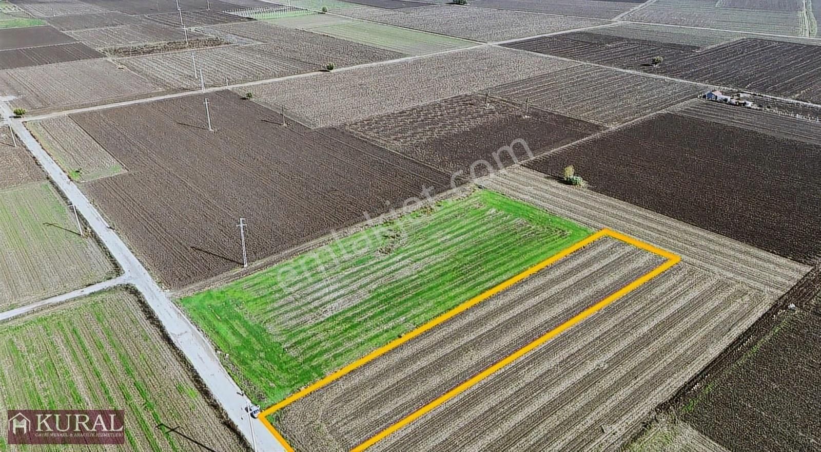 İzmir Menderes Tekelide1/2 Hisse Tapulu 4644m2 Asvalt Yol Tarla - Görsel 18