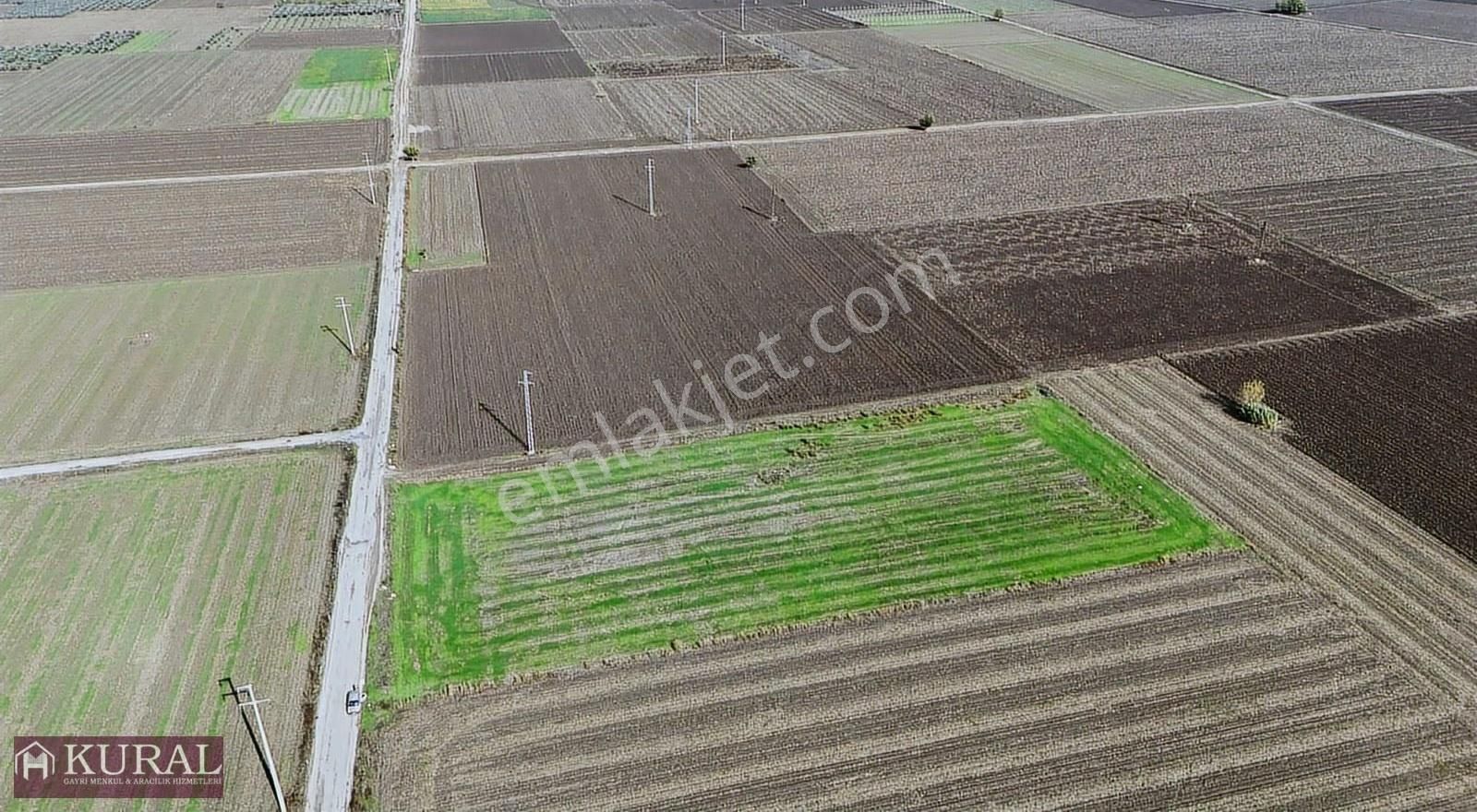 İzmir Menderes Tekelide1/2 Hisse Tapulu 4644m2 Asvalt Yol Tarla - Görsel 16