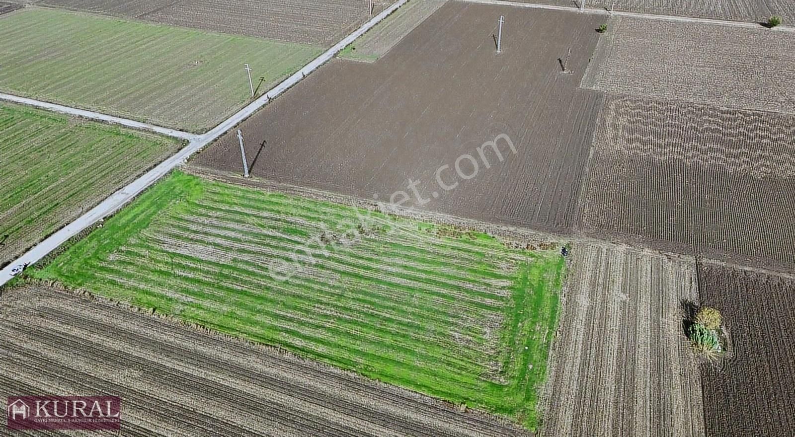 İzmir Menderes Tekelide1/2 Hisse Tapulu 4644m2 Asvalt Yol Tarla - Görsel 28