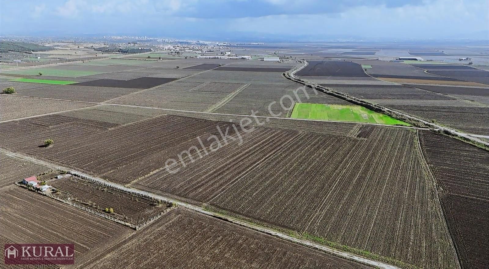 İzmir Menderes Tekelide1/2 Hisse Tapulu 4644m2 Asvalt Yol Tarla - Görsel 6