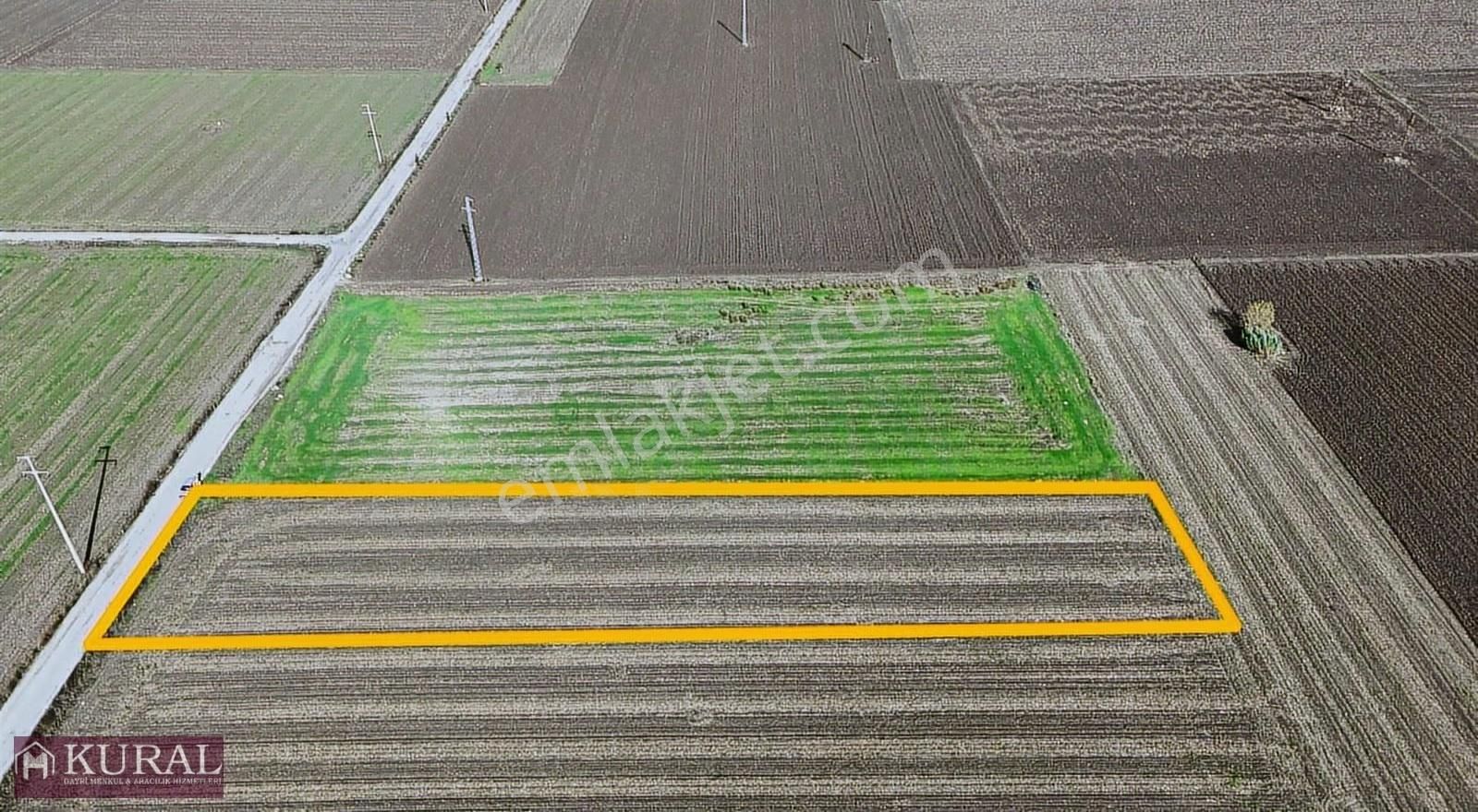 İzmir Menderes Tekelide1/2 Hisse Tapulu 4644m2 Asvalt Yol Tarla - Görsel 8