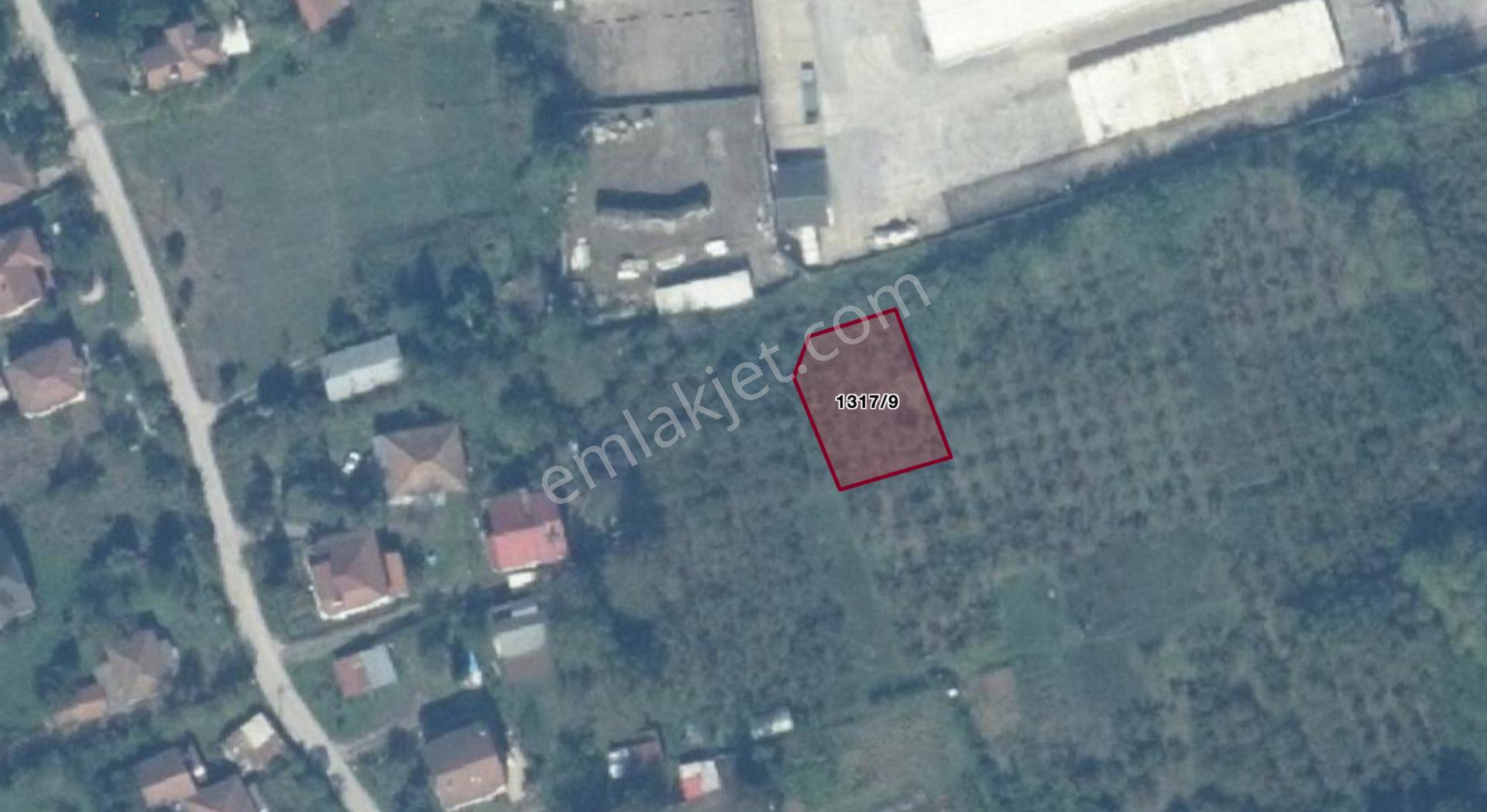 Hendek Akova'da 490 M2 İmarlı Arsa - Görsel 8