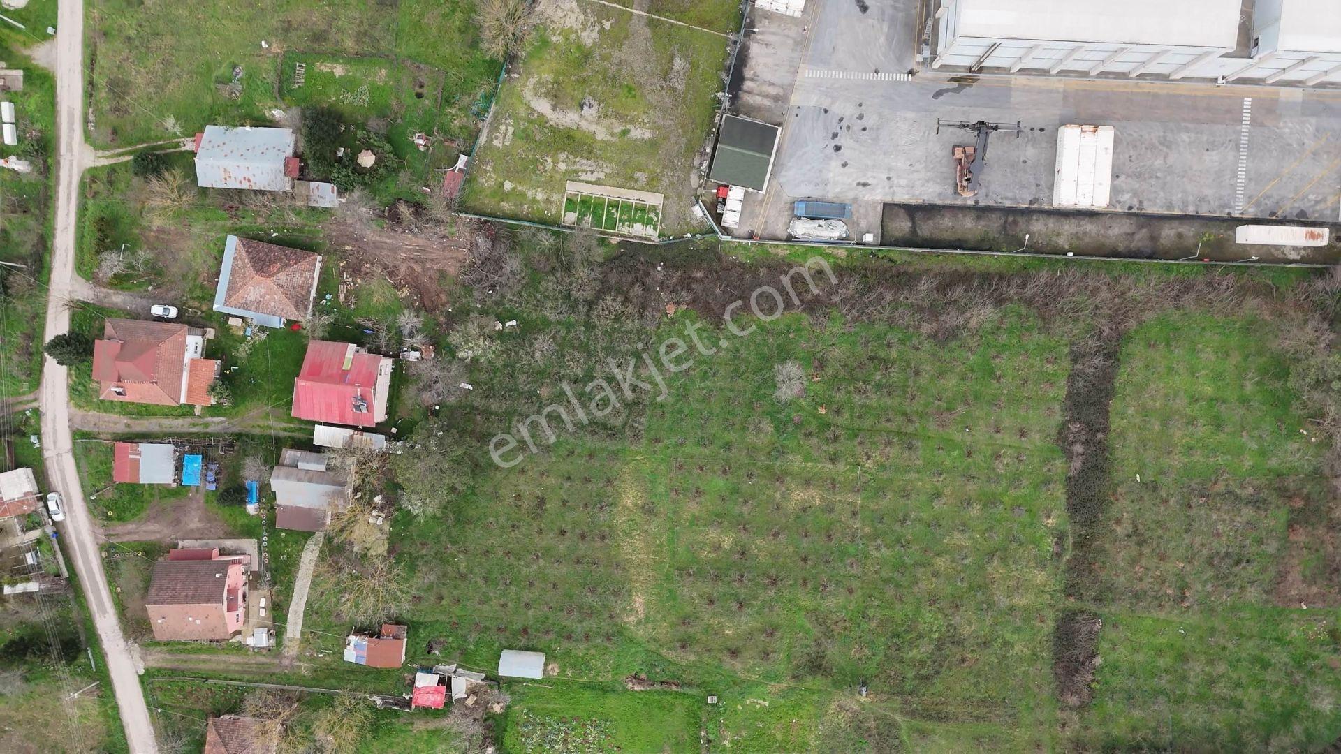 Hendek Akova'da 490 M2 İmarlı Arsa - Görsel 5