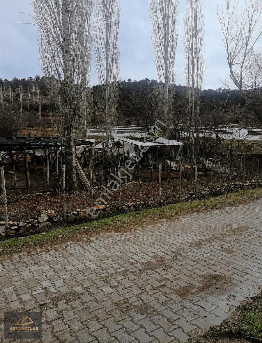 Seydikemer Doğanlar Yaylasında Satılık 2247 M² Tarla