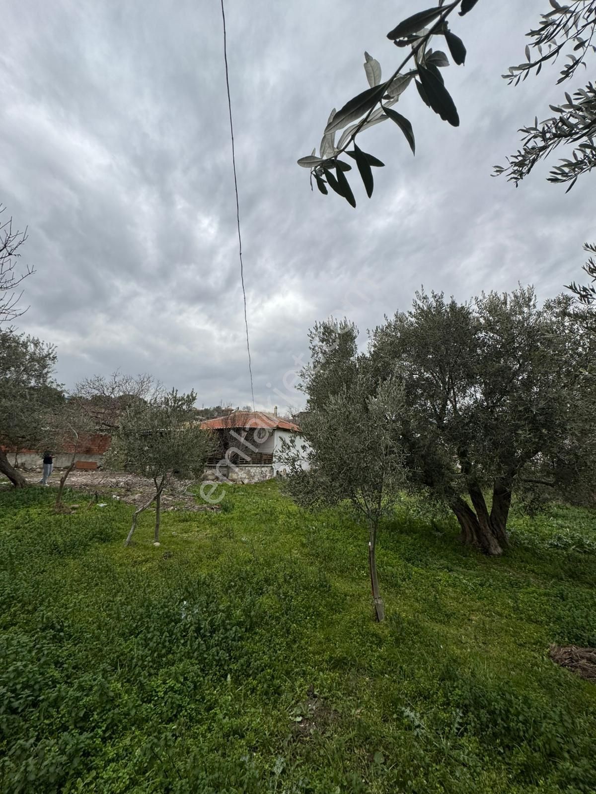 Hali Hazırda Müstakil Ev - Görsel 3