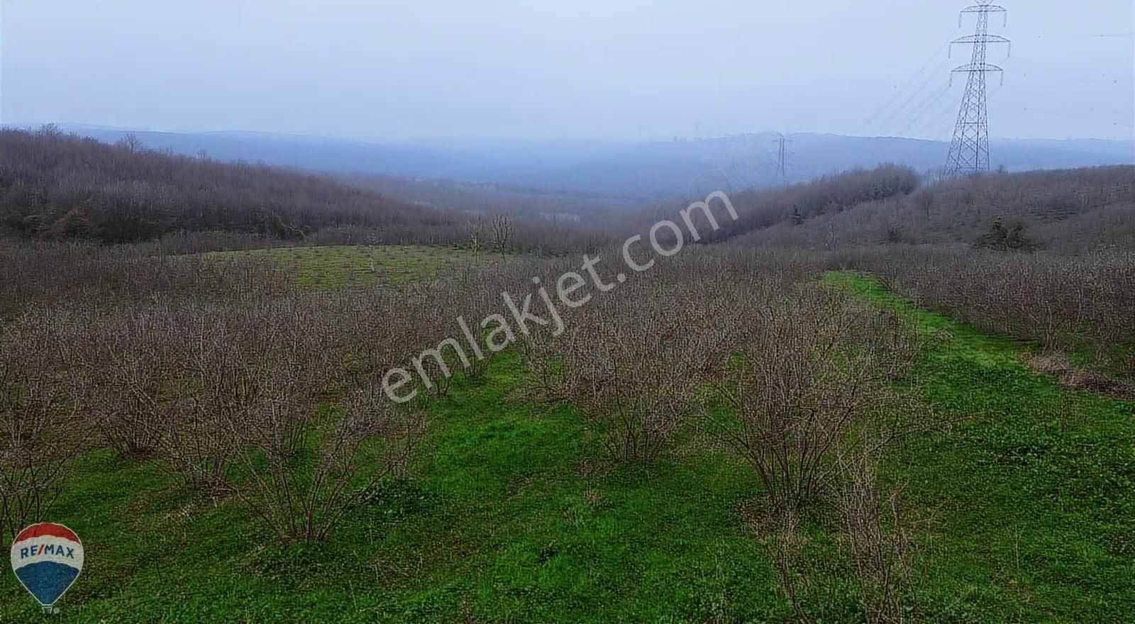 Remax Mavi Rıdvan Gedik Kaynarca Uzunalanda 11.672 M2 Fındıklık - Görsel 24