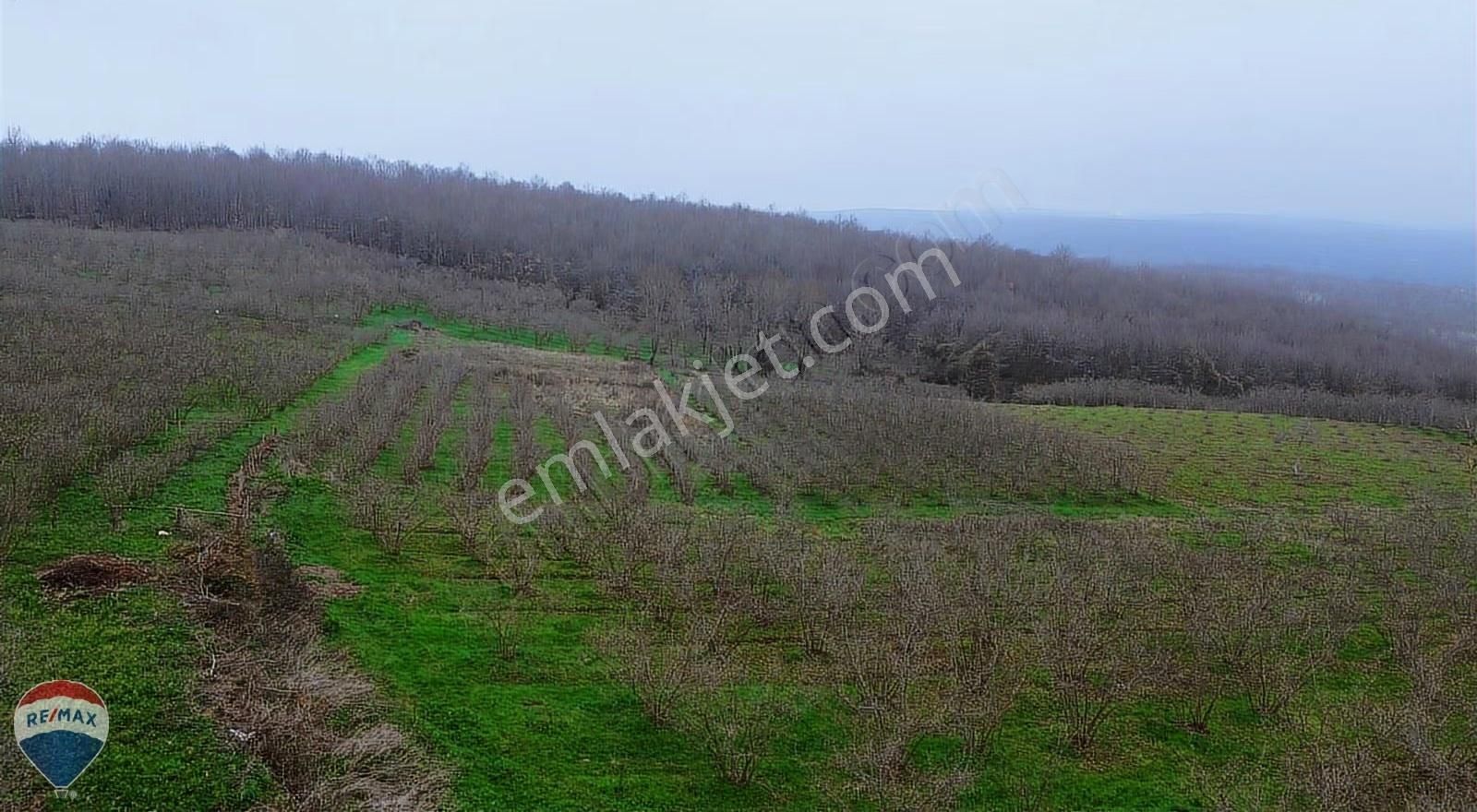 Remax Mavi Rıdvan Gedik Kaynarca Uzunalanda 11.672 M2 Fındıklık - Görsel 20