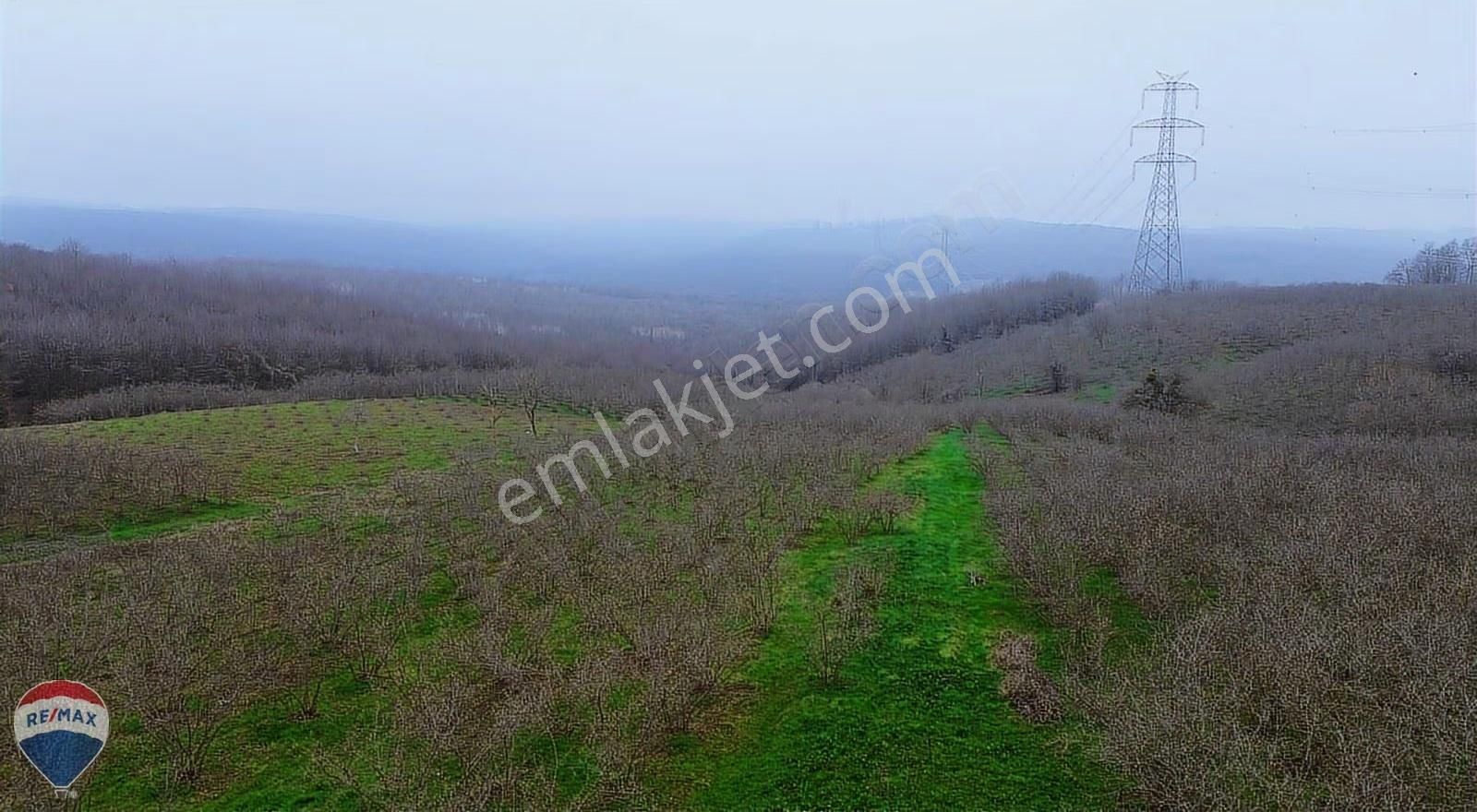 Remax Mavi Rıdvan Gedik Kaynarca Uzunalanda 11.672 M2 Fındıklık - Görsel 8