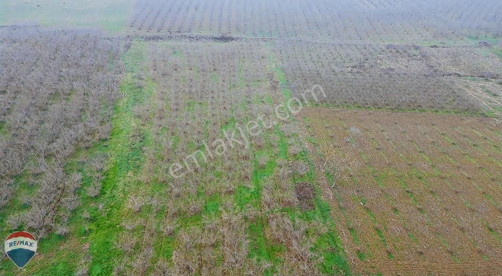Remax Mavi Rıdvan Gedik Kaynarca Uzunalanda 11.672 M2 Fındıklık - Görsel 17