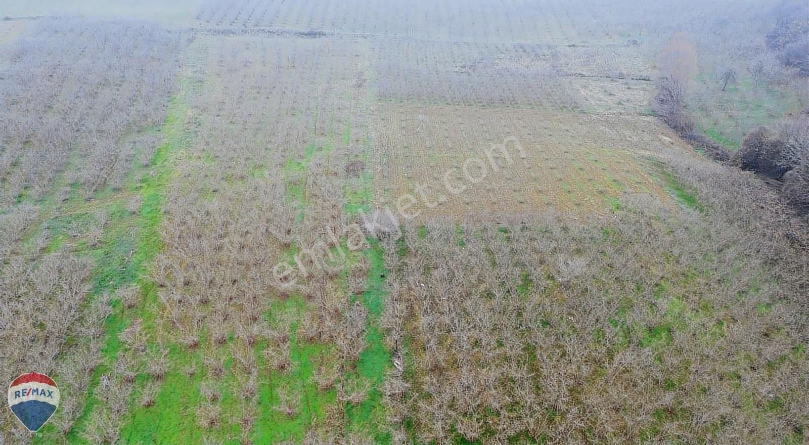 Remax Mavi Rıdvan Gedik Kaynarca Uzunalanda 11.672 M2 Fındıklık - Görsel 21