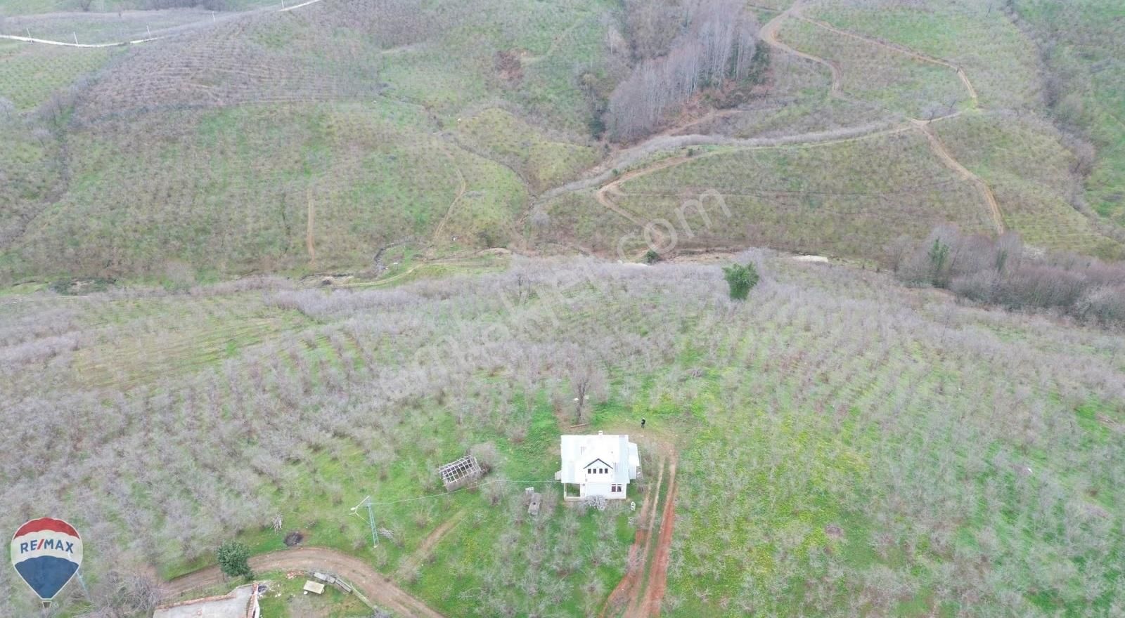 Remax Rıdvan Gedik Kocaalı Alanderede10.407m2 Satılık Fındıklık - Görsel 6