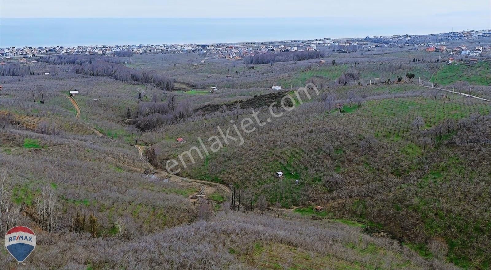 Remax Rıdvan Gedik Kocaalı Alanderede10.407m2 Satılık Fındıklık - Görsel 9
