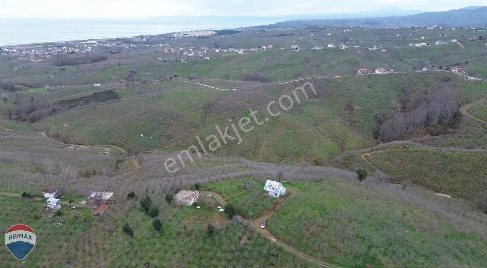 Remax Rıdvan Gedik Kocaalı Alanderede10.407m2 Satılık Fındıklık