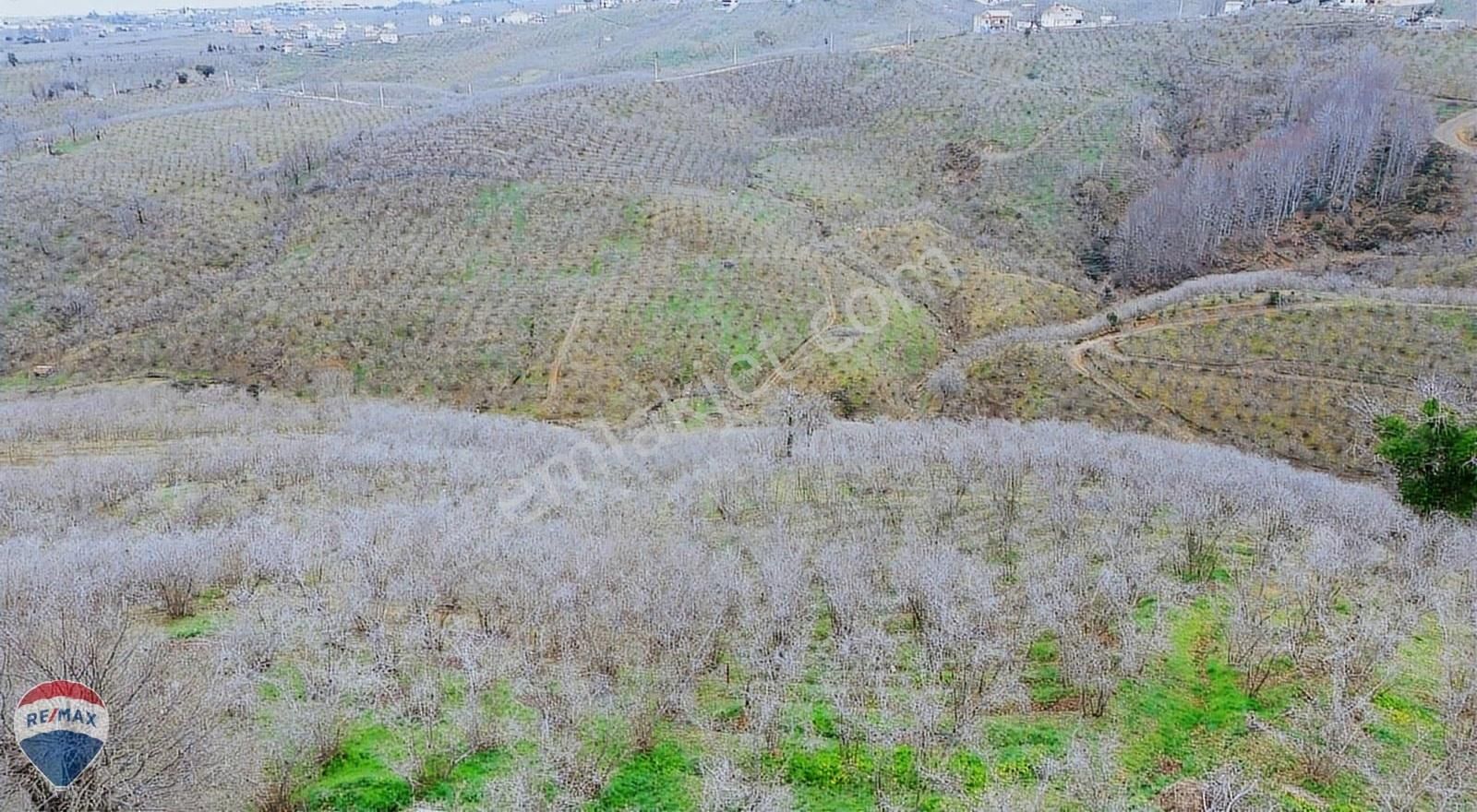 Remax Rıdvan Gedik Kocaalı Alanderede10.407m2 Satılık Fındıklık - Görsel 28
