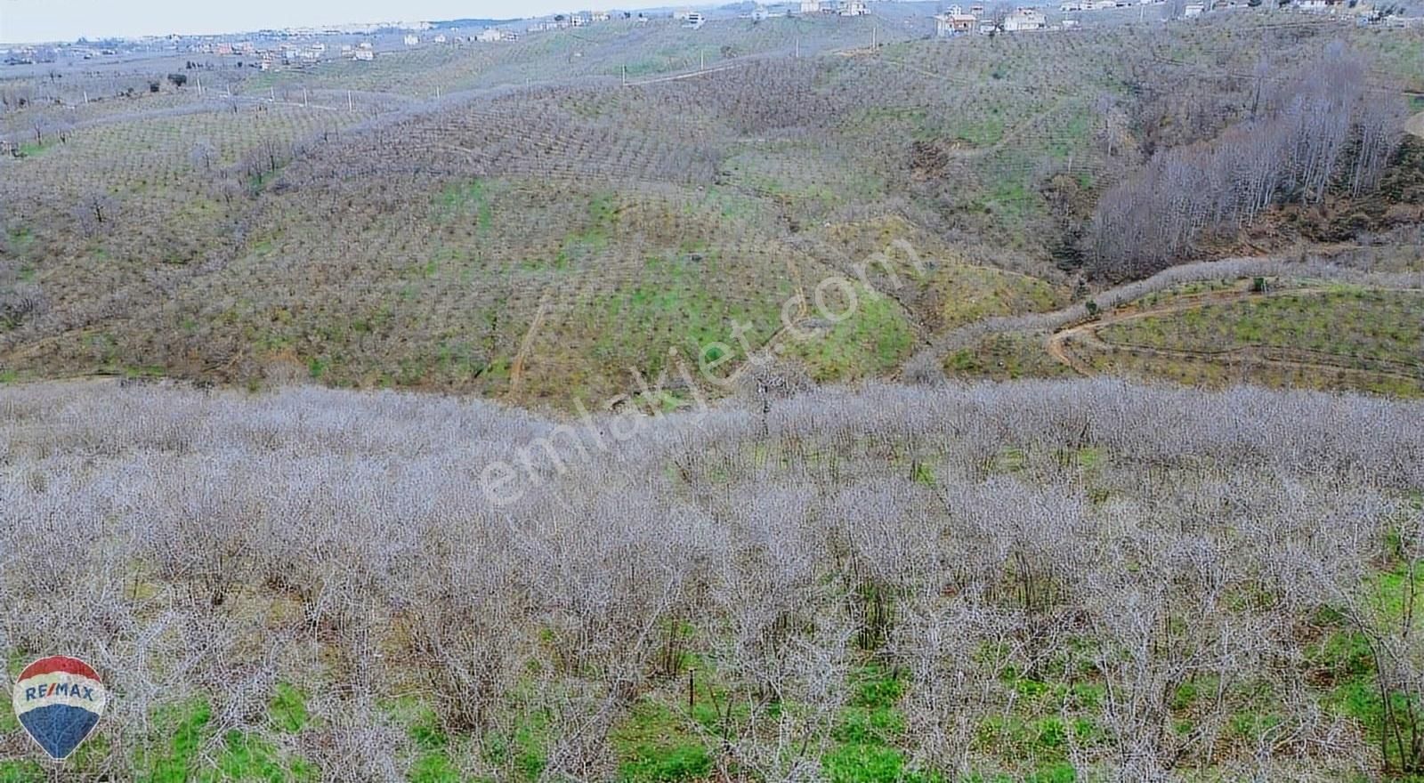 Remax Rıdvan Gedik Kocaalı Alanderede10.407m2 Satılık Fındıklık - Görsel 8