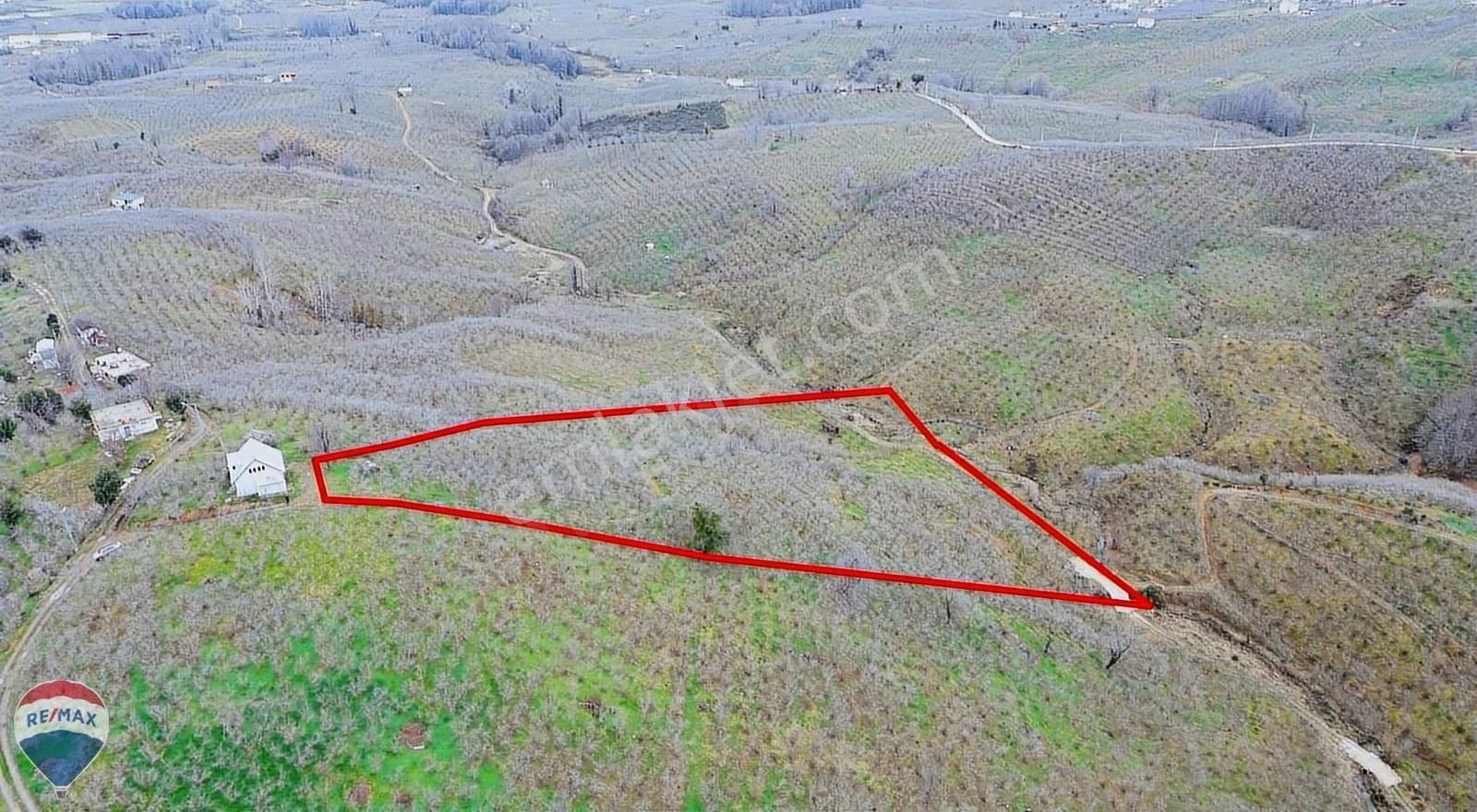 Remax Rıdvan Gedik Kocaalı Alanderede10.407m2 Satılık Fındıklık - Görsel 26