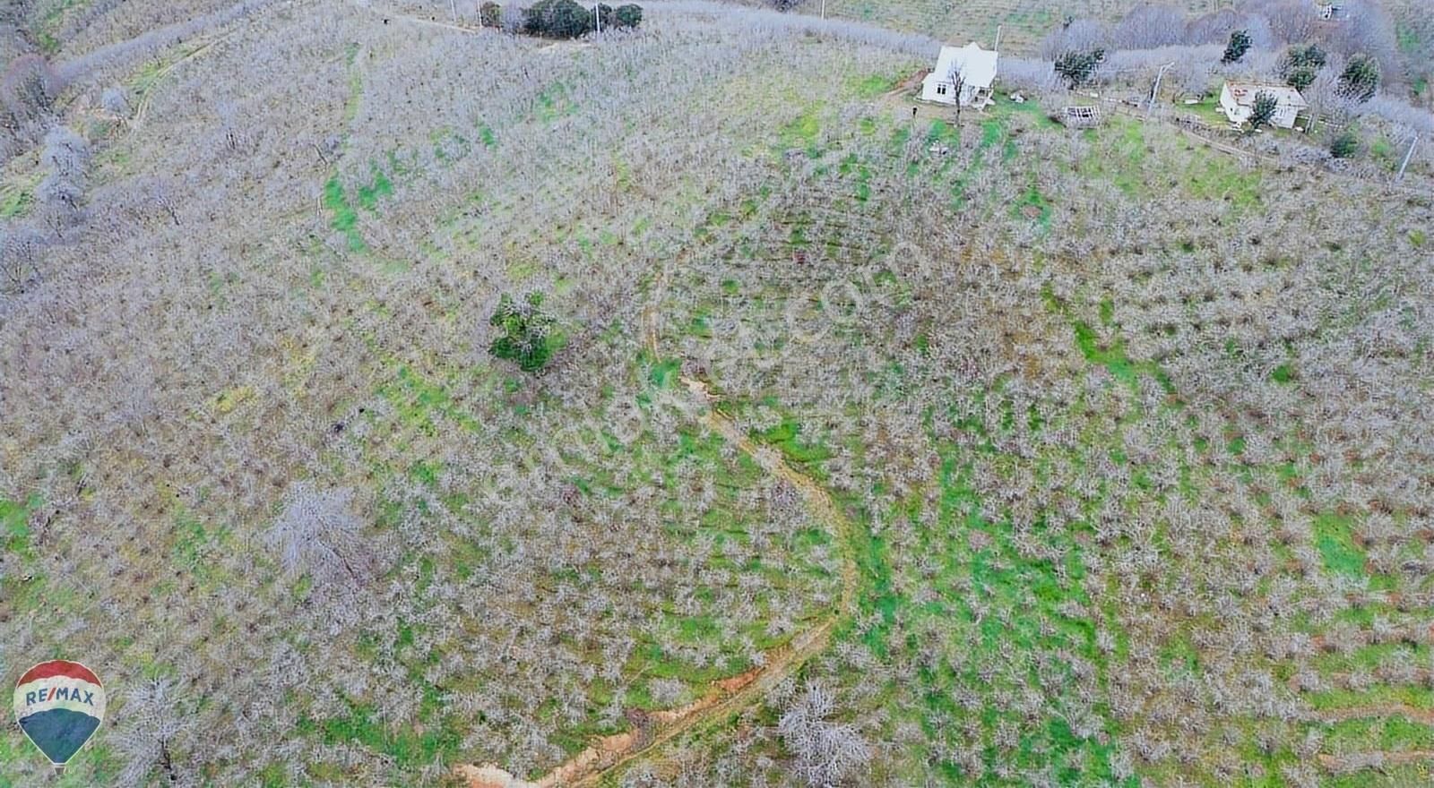 Remax Rıdvan Gedik Kocaalı Alanderede10.407m2 Satılık Fındıklık - Görsel 15