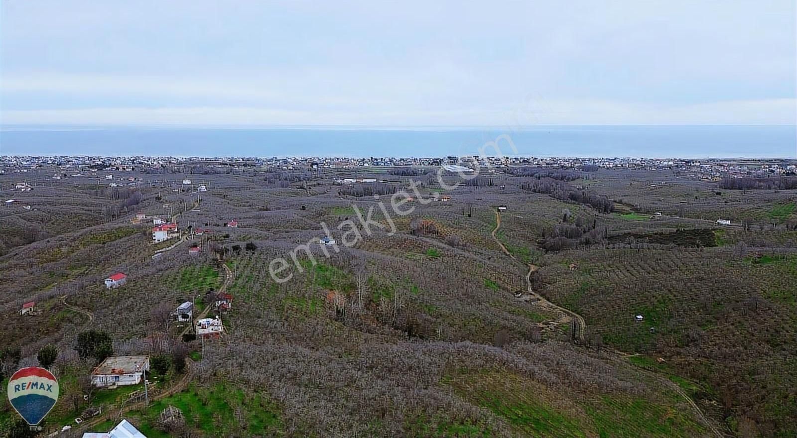 Remax Rıdvan Gedik Kocaalı Alanderede10.407m2 Satılık Fındıklık - Görsel 29