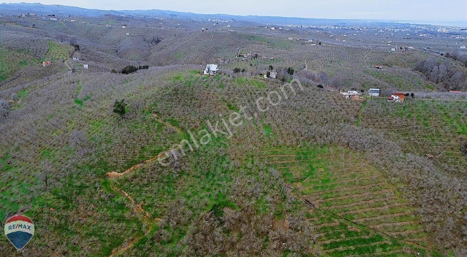 Remax Rıdvan Gedik Kocaalı Alanderede10.407m2 Satılık Fındıklık - Görsel 14