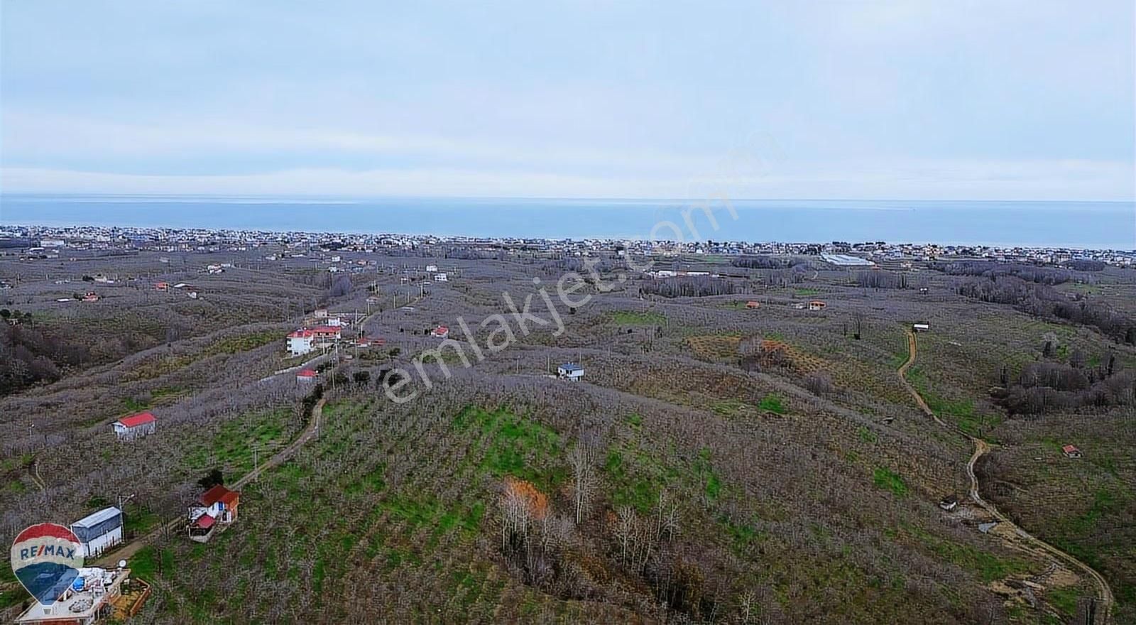 Remax Rıdvan Gedik Kocaalı Alanderede10.407m2 Satılık Fındıklık - Görsel 27