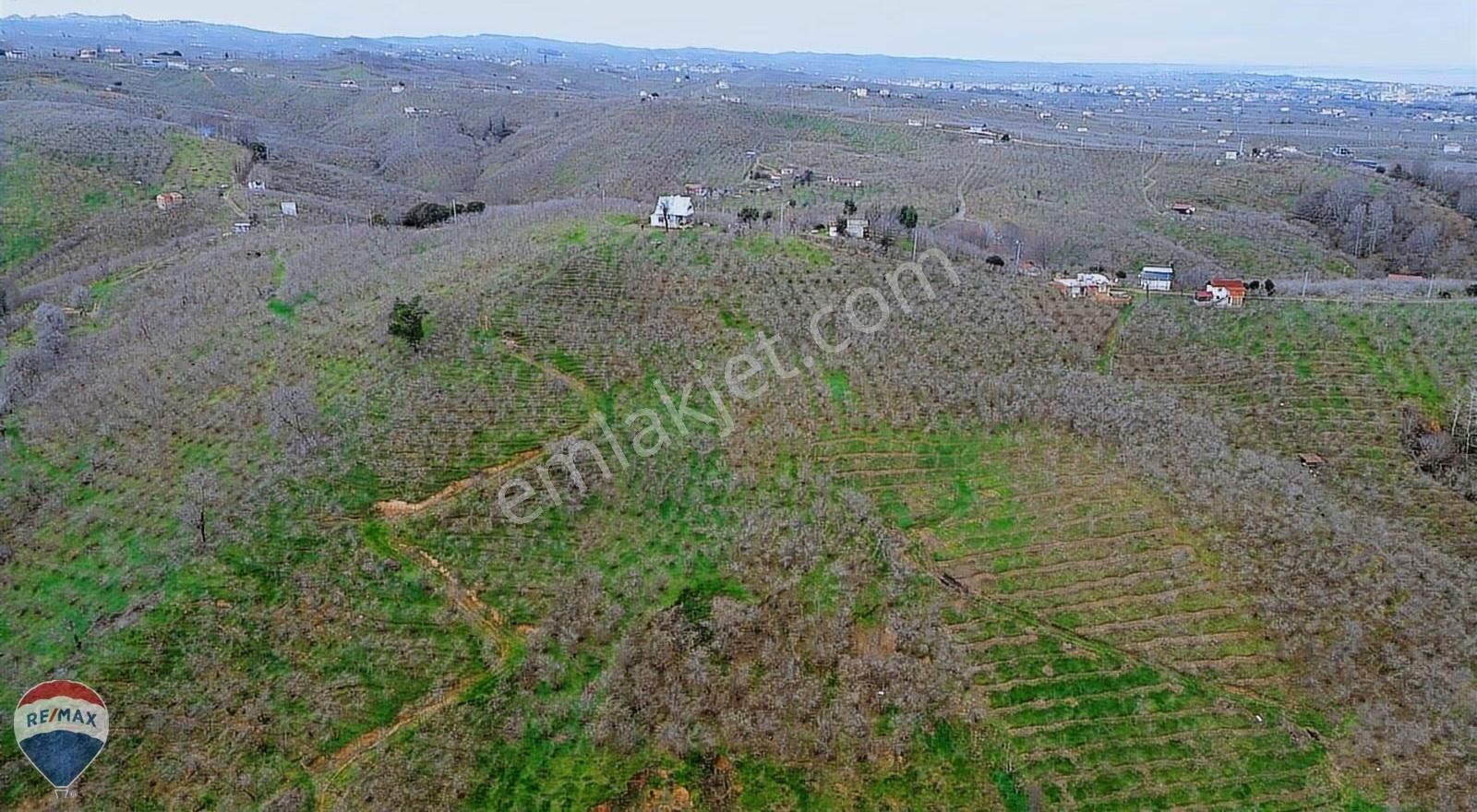 Remax Rıdvan Gedik Kocaalı Alanderede10.407m2 Satılık Fındıklık - Görsel 17