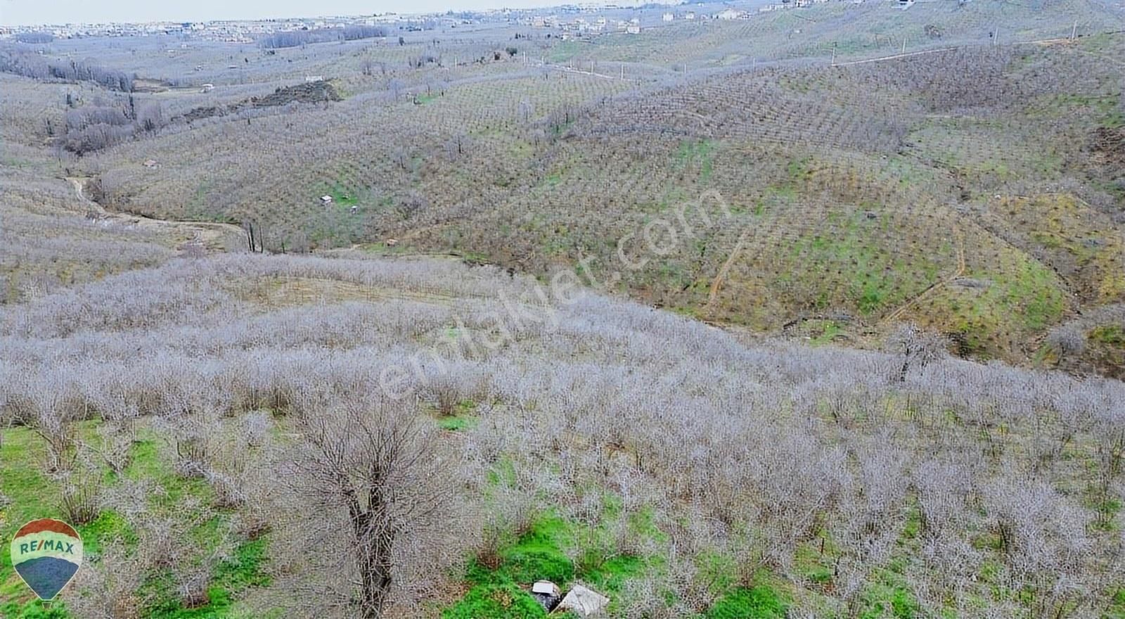 Remax Rıdvan Gedik Kocaalı Alanderede10.407m2 Satılık Fındıklık - Görsel 13