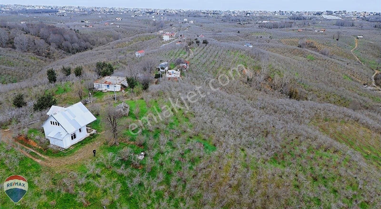 Remax Rıdvan Gedik Kocaalı Alanderede10.407m2 Satılık Fındıklık - Görsel 10