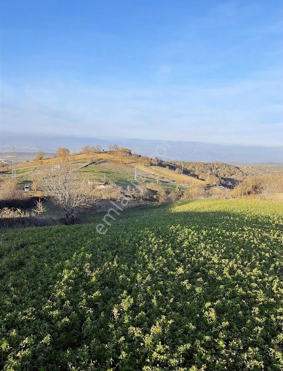 Güngörende Kısa Süreliğine Bölgenin En Ucuzu - Görsel 4