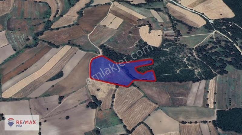 Remax Mid Çiftlik Kurulumuna Hazır Kadastral Yol Cepheli Arazi - Görsel 4
