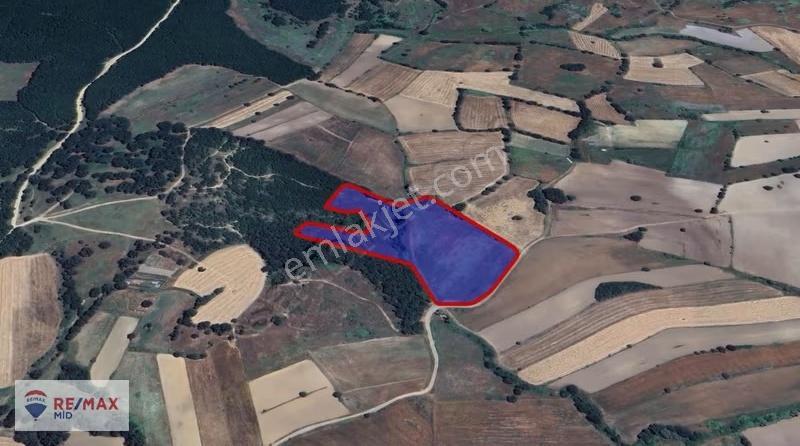 Remax Mid Çiftlik Kurulumuna Hazır Kadastral Yol Cepheli Arazi - Görsel 9