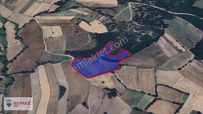 Remax Mid Çiftlik Kurulumuna Hazır Kadastral Yol Cepheli Arazi - Görsel 3