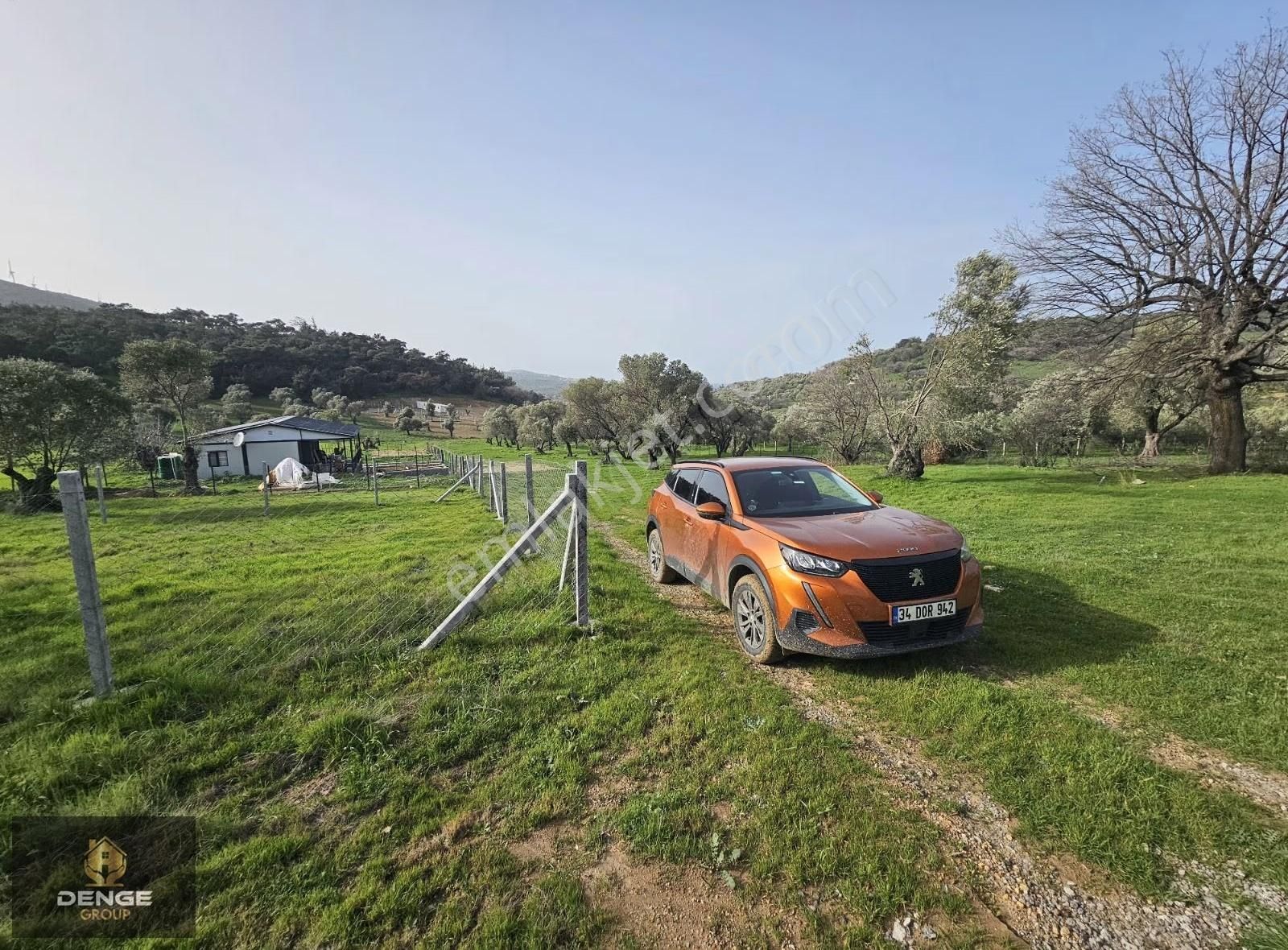 Foça Kozbeylide 275m2 Deniz Manzaralı Zeytinli Bahçe