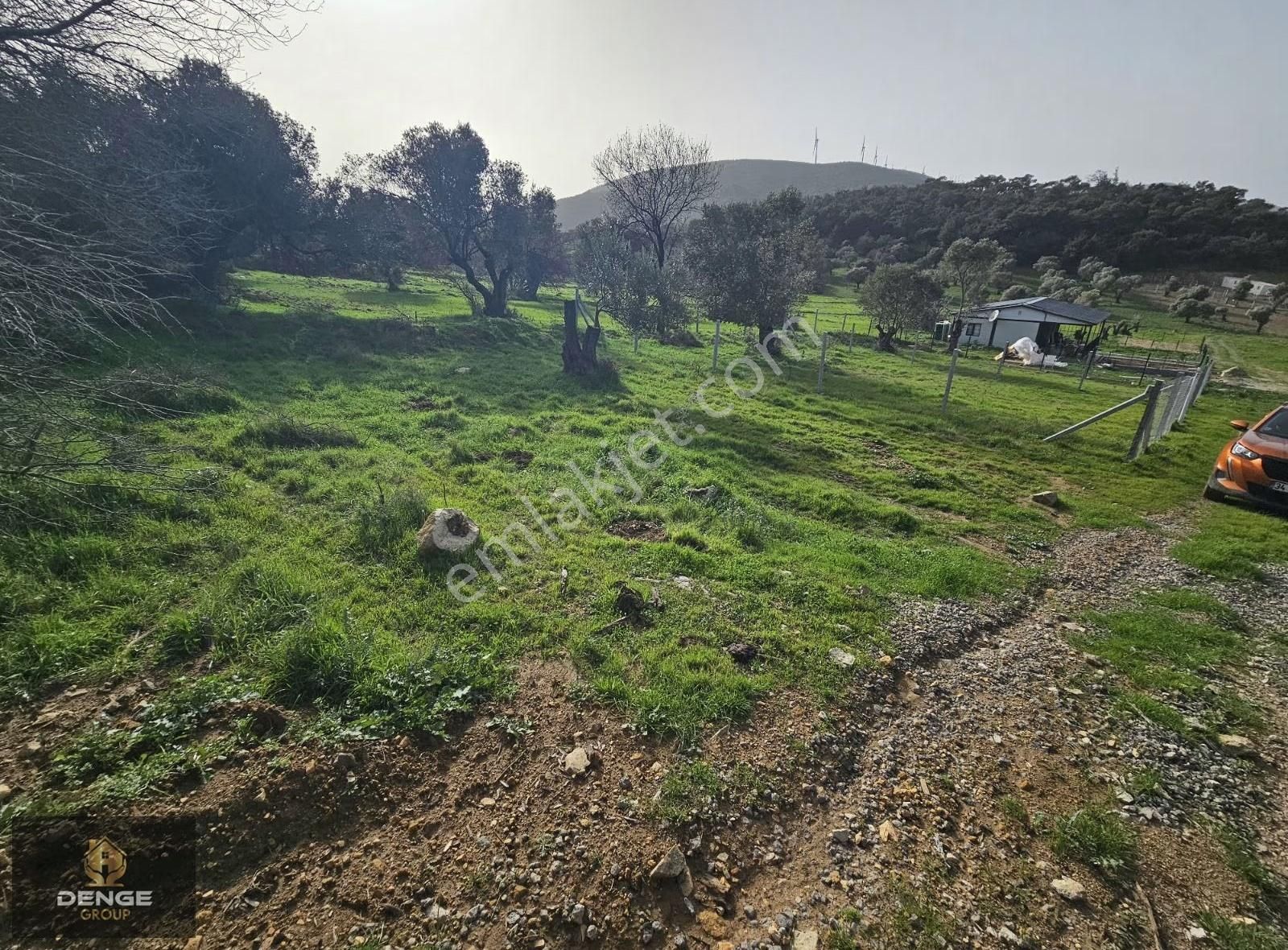 Foça Kozbeylide 275m2 Deniz Manzaralı Zeytinli Bahçe - Görsel 8