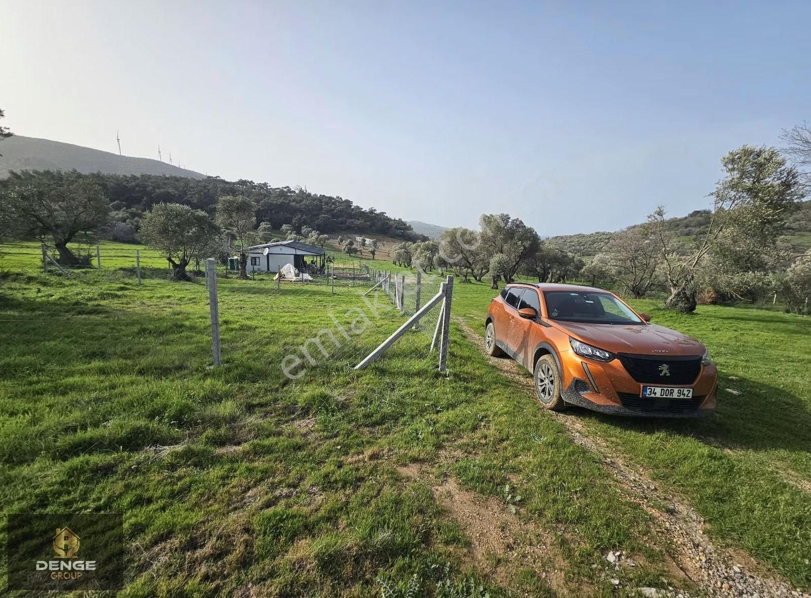Foça Kozbeylide 275m2 Deniz Manzaralı Zeytinli Bahçe - Görsel 2