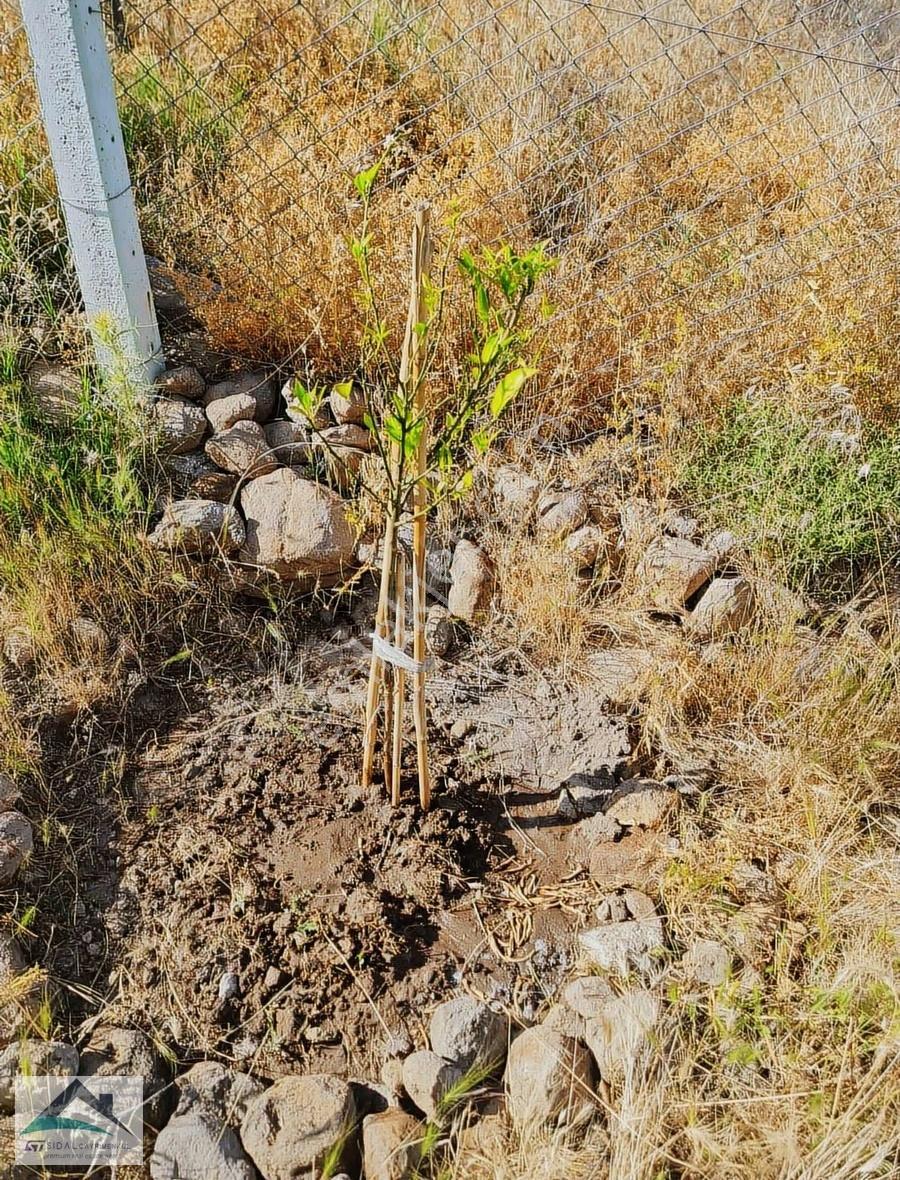 Sidal'dan Kağan'da Satılık Projeli Köy Evi - Görsel 23