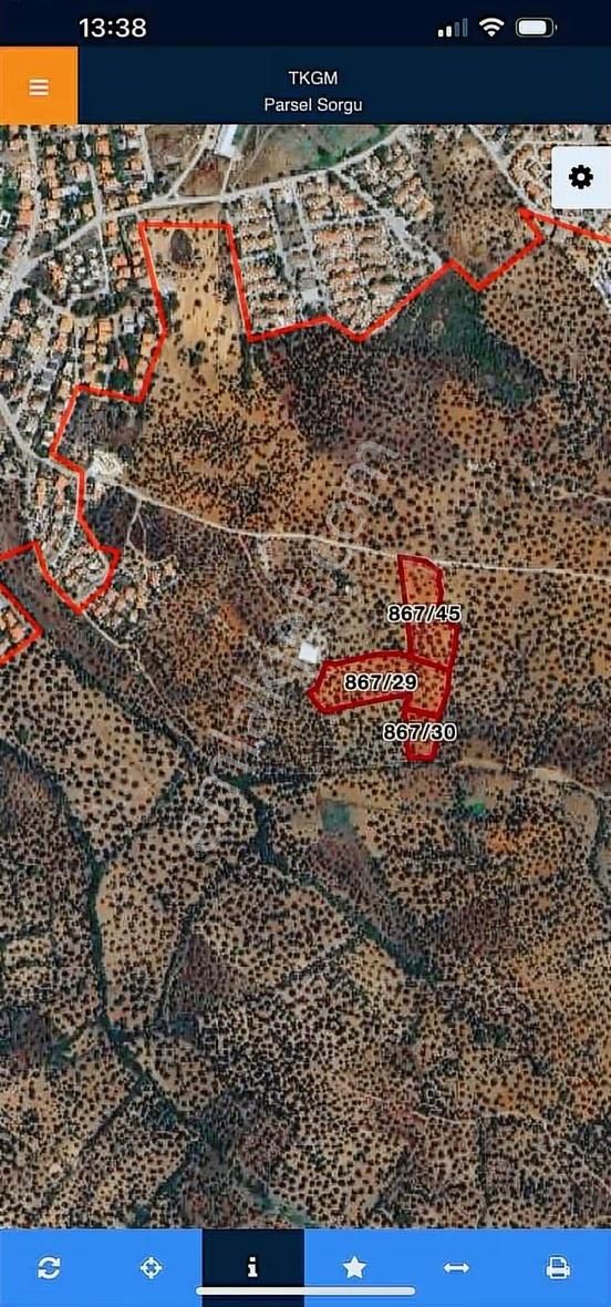 Sakarya Mahallesinde Satılık Zeytinlik - Görsel 2