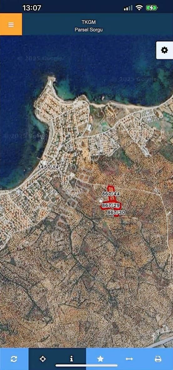 Sakarya Mahallesinde Satılık Zeytinlik