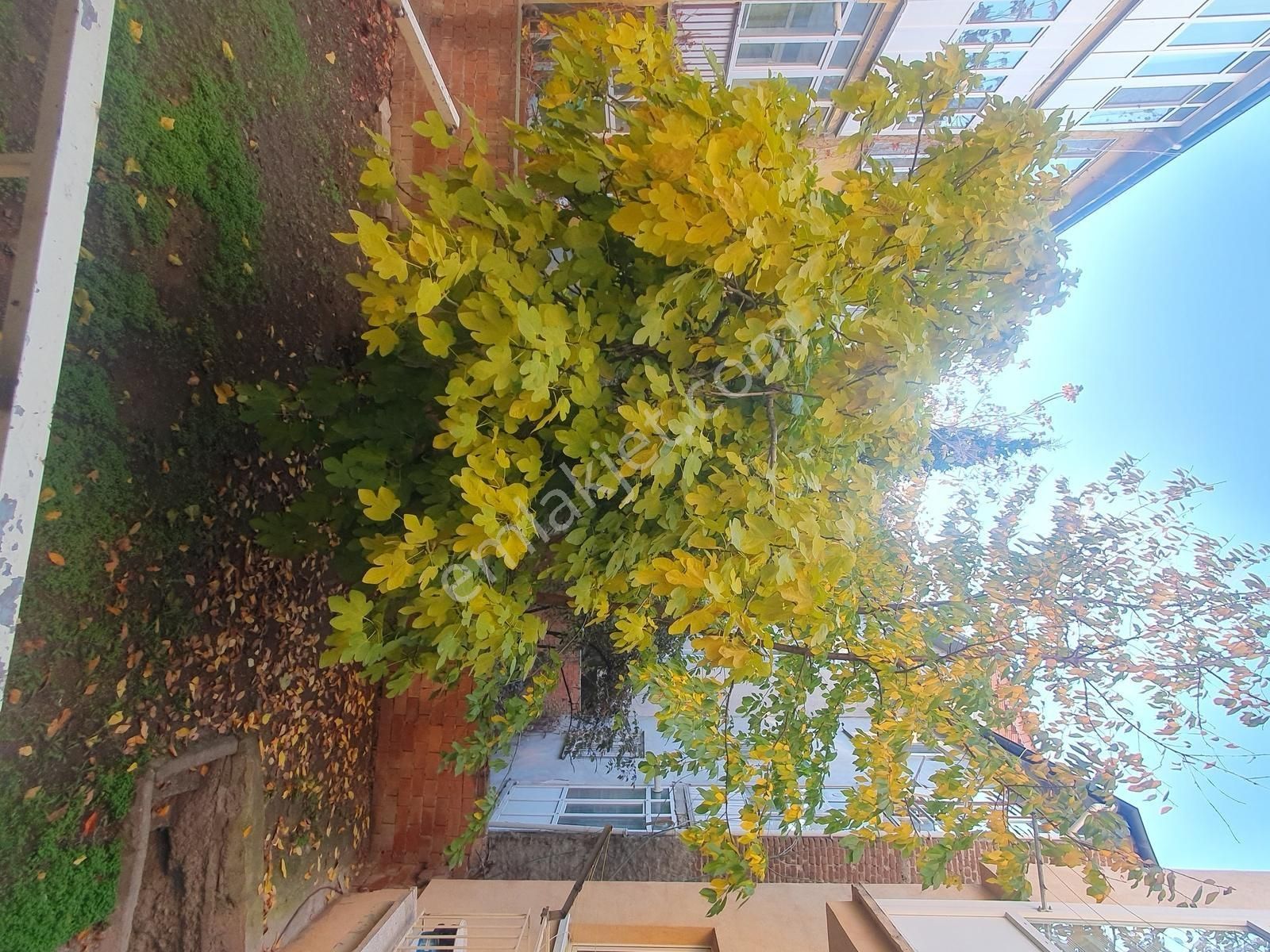 İstiklal Mah. Adalarda Şehrin Tam Kalbinde Bakımlı Kiralık 3+1 - Görsel 12