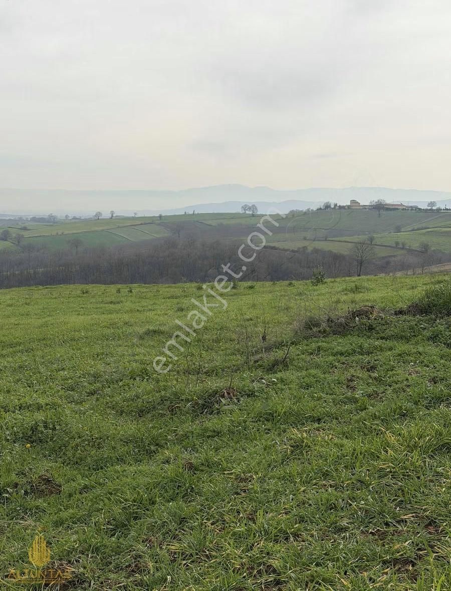 Çavuşoğlunda Köy Merkezine Yakın Yatırım Değeri Yüksek Tarla