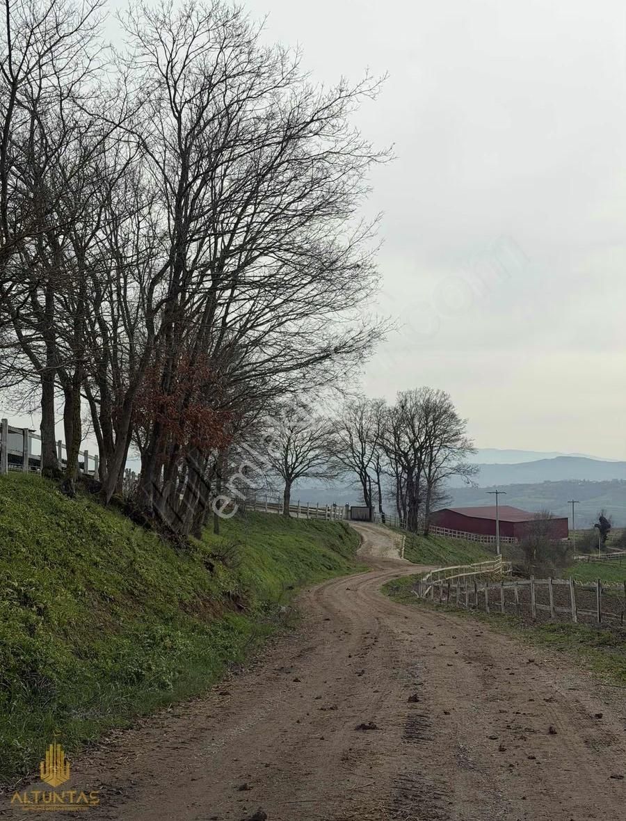 Çavuşoğlunda Köy Merkezine Yakın Yatırım Değeri Yüksek Tarla - Görsel 9
