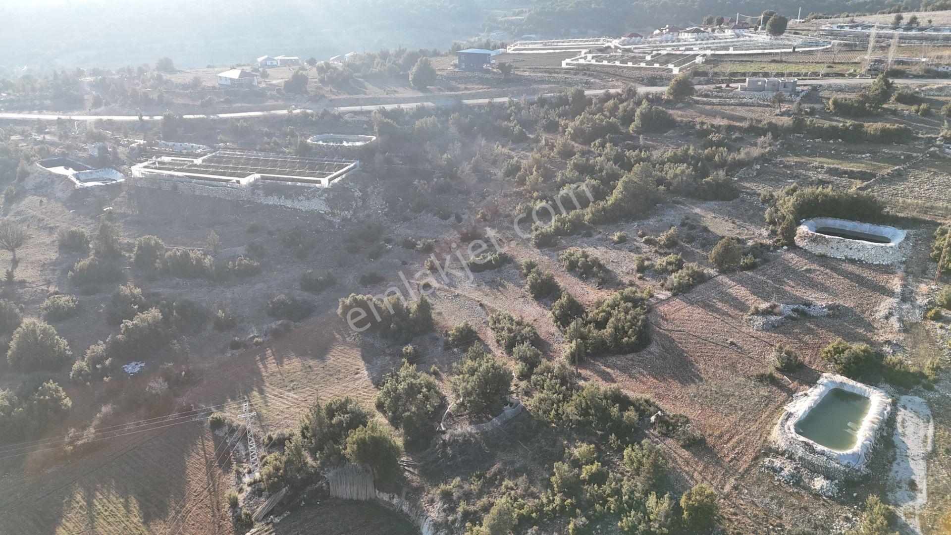 Erdemli Sarıkaya 1398 M2 Villa Veya Müstakil Ev Yeri Satılık Arsa - Görsel 7