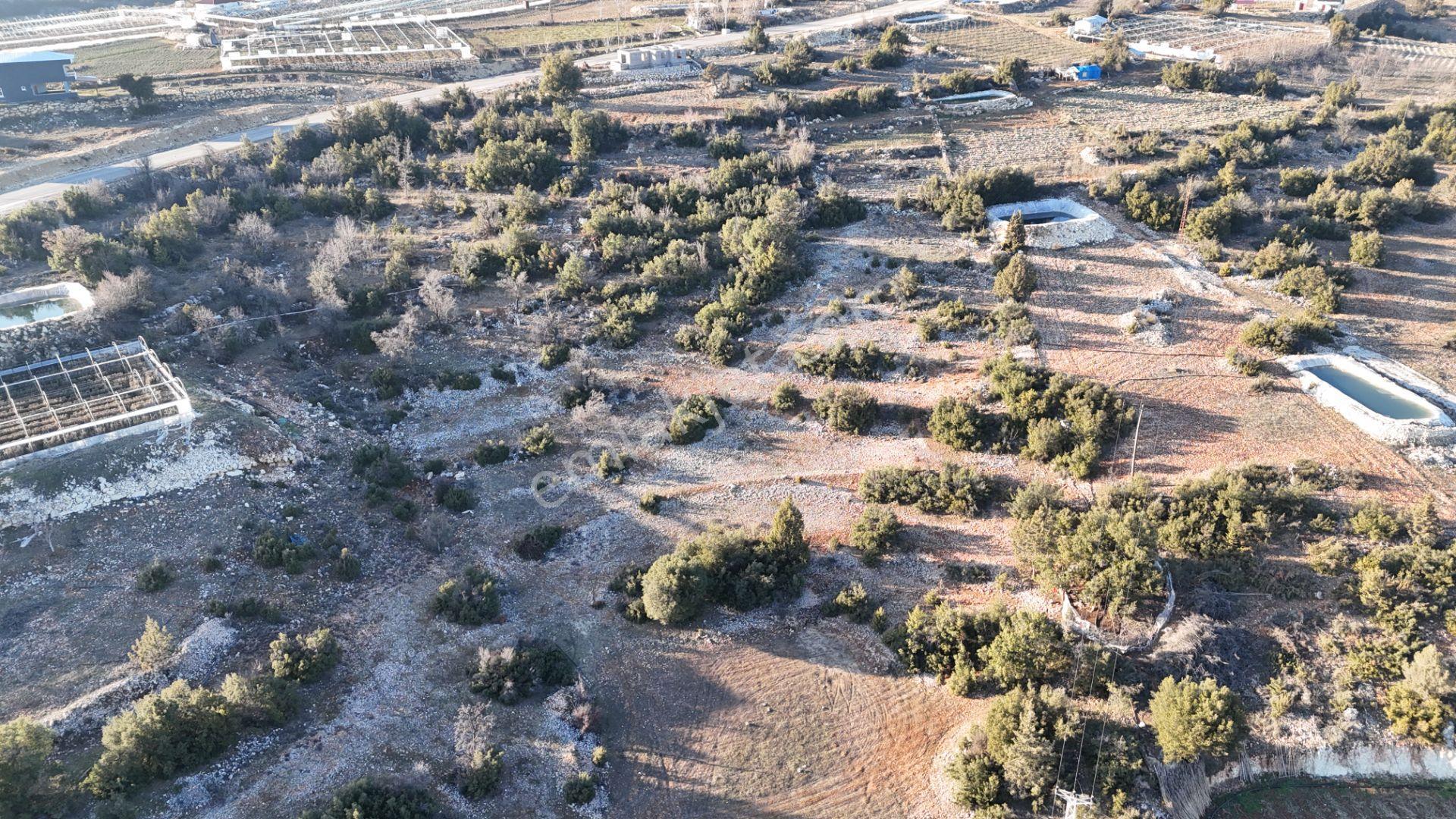 Erdemli Sarıkaya 1398 M2 Villa Veya Müstakil Ev Yeri Satılık Arsa - Görsel 6
