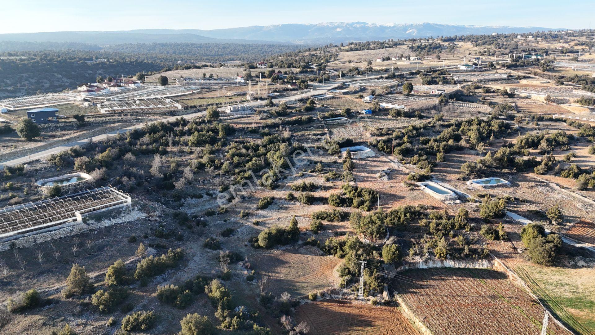 Erdemli Sarıkaya 1398 M2 Villa Veya Müstakil Ev Yeri Satılık Arsa - Görsel 8