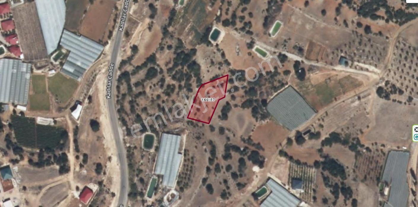 Erdemli Sarıkaya 1398 M2 Villa Veya Müstakil Ev Yeri Satılık Arsa - Görsel 15