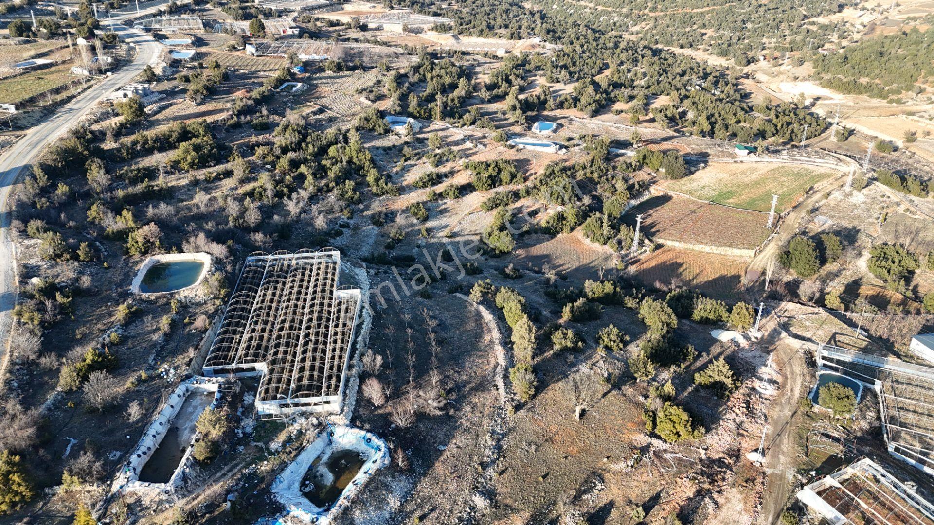 Erdemli Sarıkaya 1398 M2 Villa Veya Müstakil Ev Yeri Satılık Arsa - Görsel 11