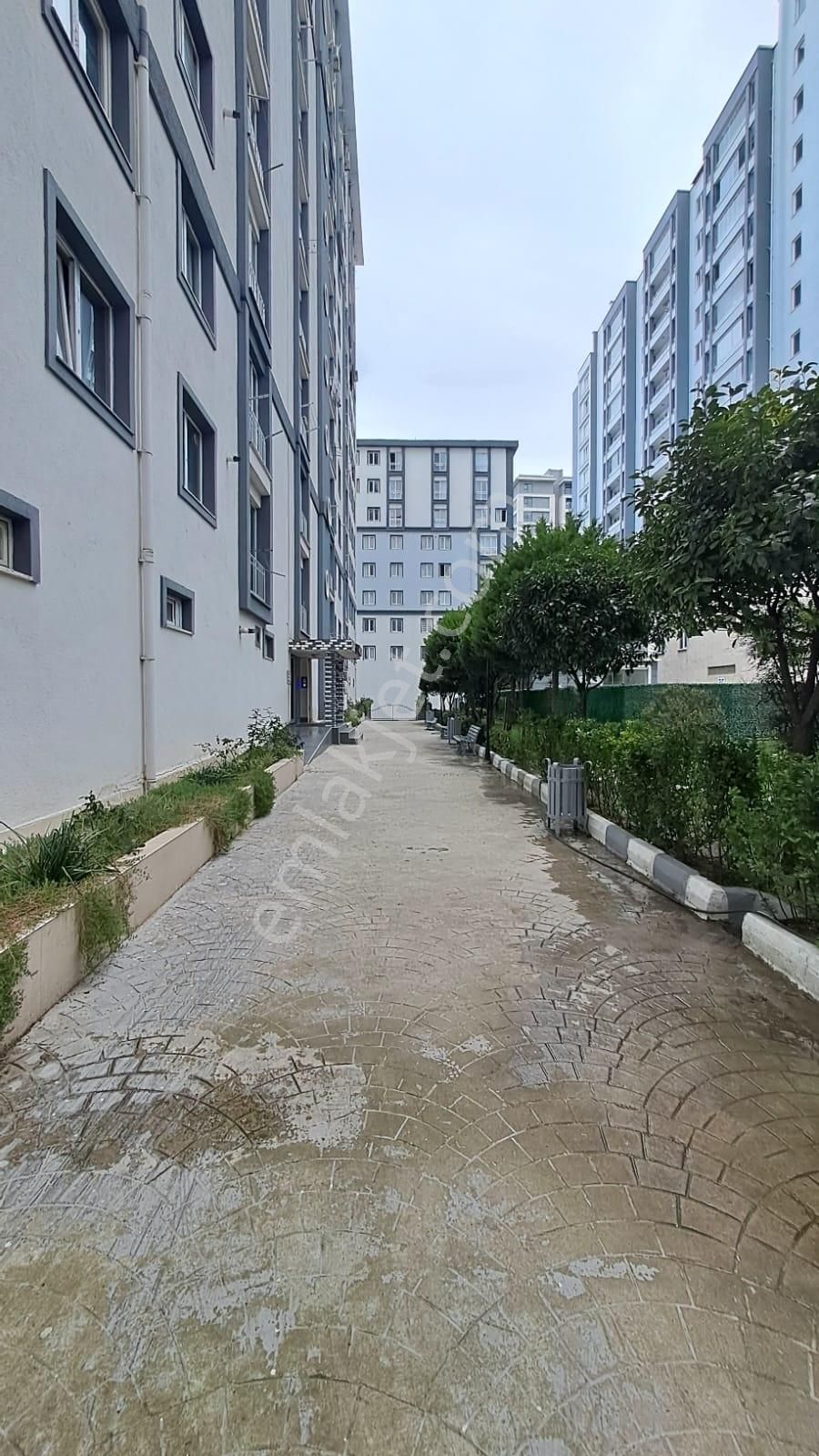 Eşyalı Kiralık Daire Eseyurt Mehterçeşmede - Görsel 14