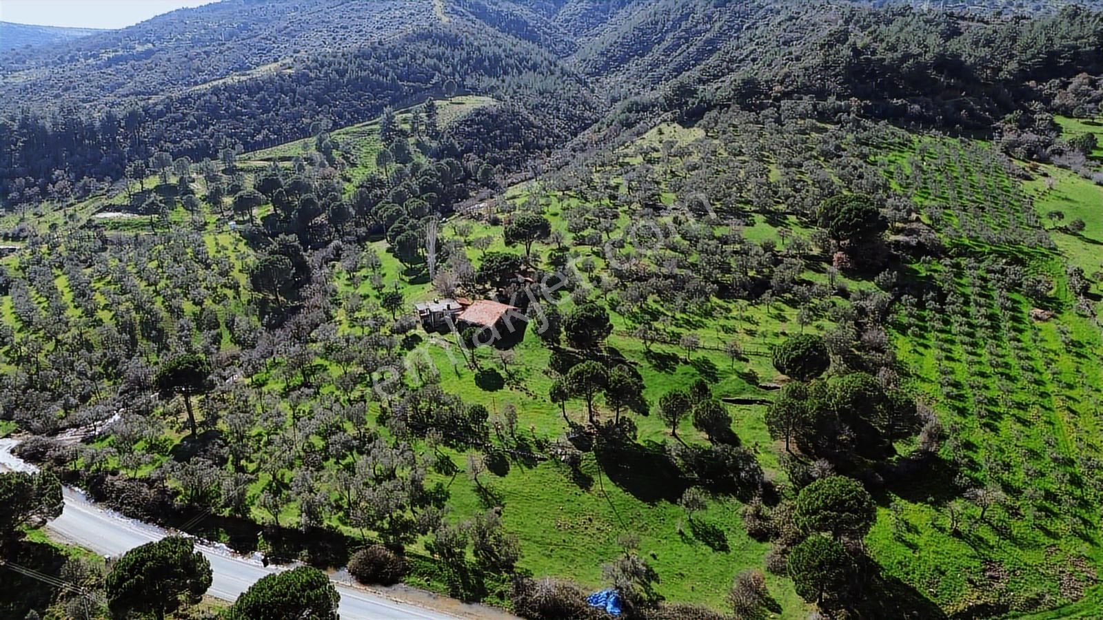 Bergama Selçuk Mah.'de 35.458m2 Yola Cepheli Satılık Tarla - Görsel 26