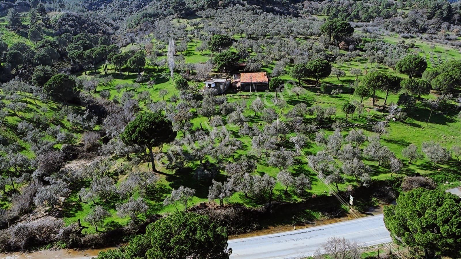 Bergama Selçuk Mah.'de 35.458m2 Yola Cepheli Satılık Tarla - Görsel 23